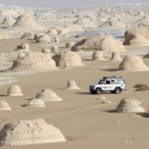 Desert Trivia Quiz White Desert