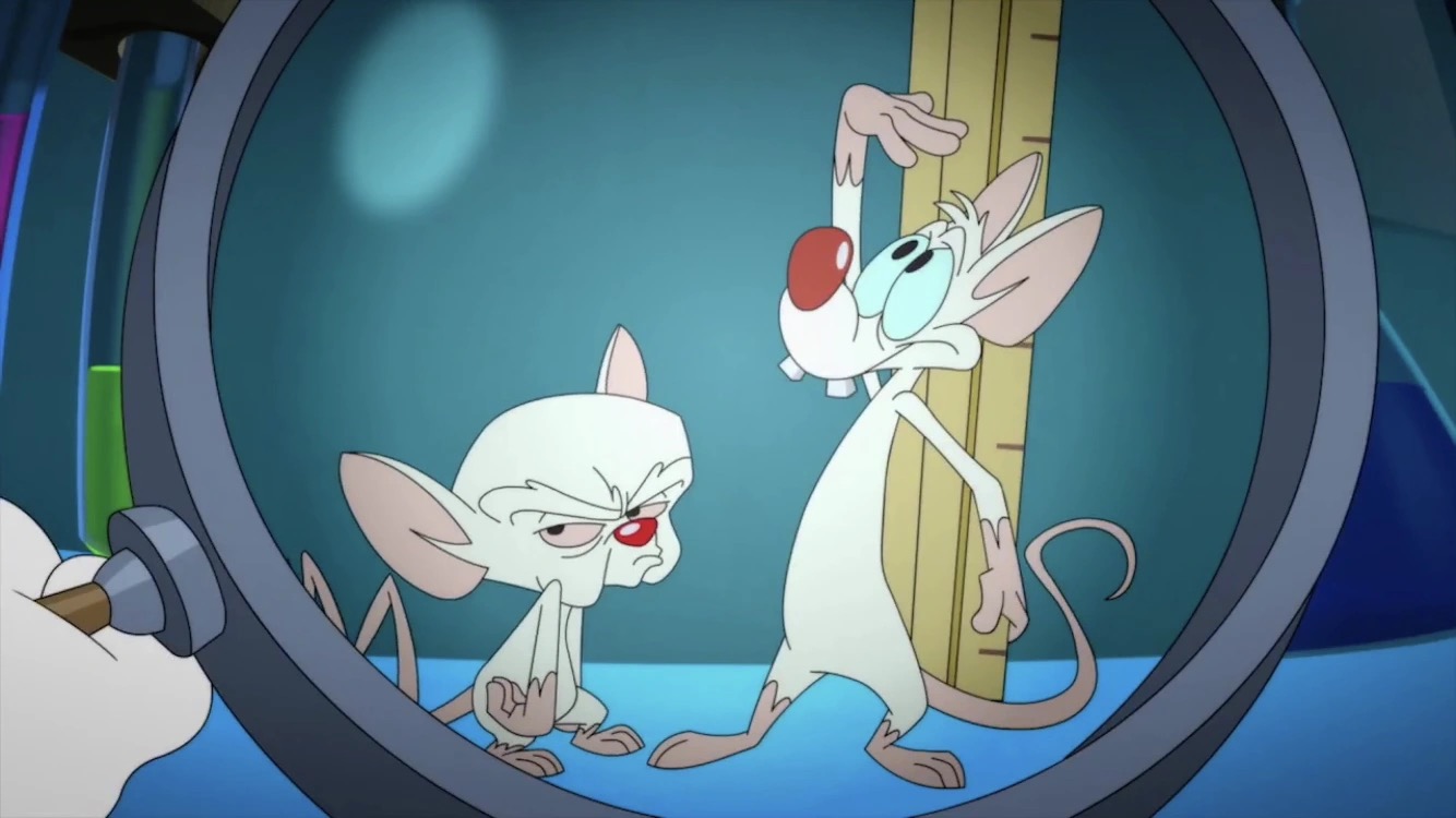 Tv Show Colors Pinky and the Brain