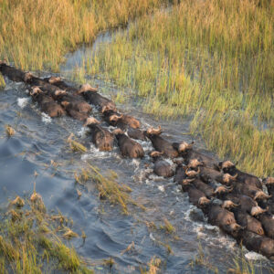 Countries That Changed Their Names Quiz Botswana