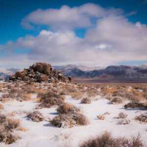 Desert Trivia Quiz Great Basin Desert