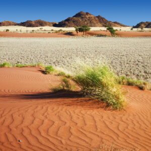 Africa Trivia Quiz Namib Desert