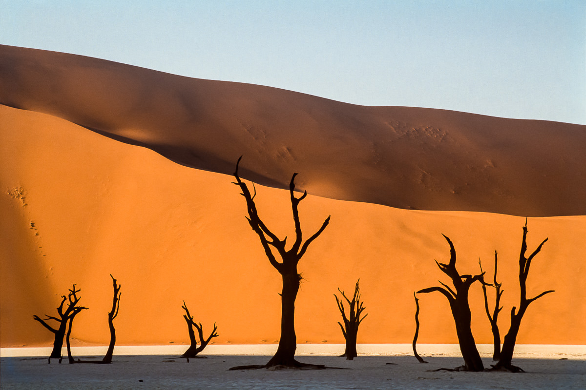 W In Geography Quiz Deadvlei, Namib Desert, Namibia
