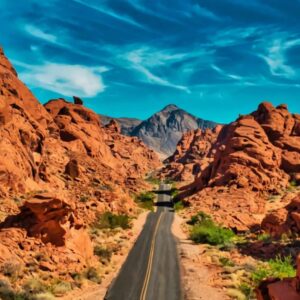 Desert Trivia Quiz Mojave Desert