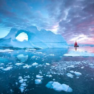 Arctic Vs Antarctic Arctic