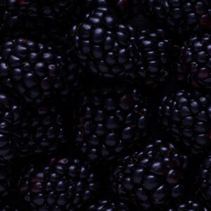 Which Fruity Cake Are You? Quiz Blackberries