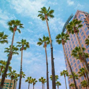 C In Geography Quiz California