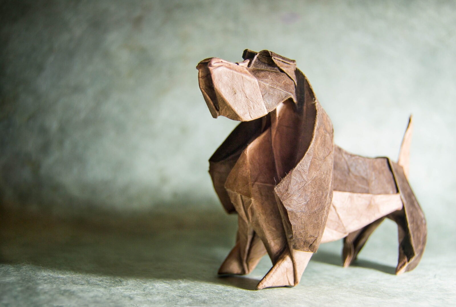 It’s Pretty Obvious What Generation You Are from Based on Your “Would You Rather” Activity Choices Origami dog animal