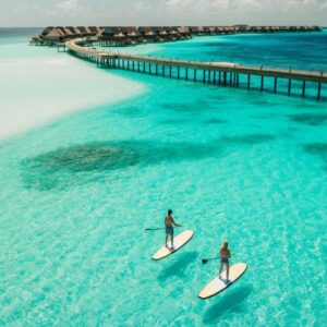 What Type Of Dolphin Are You? Quiz Maldives