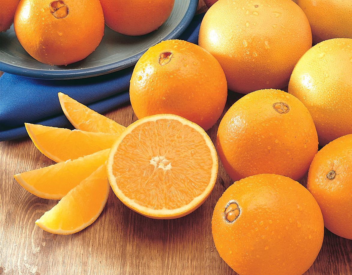 What's Orange? General Knowledge Quiz Navel Oranges