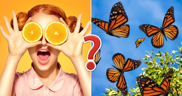 🌅 From Sunsets To Citrus Fruits 🍊: This Quiz Will Test Your Knowledge Of All Things Orange