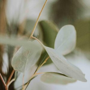 This Calming Quiz Will Tell You What You Need To Hear RN Eucalyptus & mint