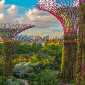 World Capitals Comfort Food Quiz Singapore