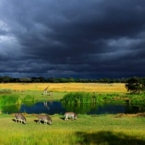 Soulmate & Travel Quiz Harare, Zimbabwe