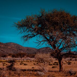 N In Geography Quiz Namibia