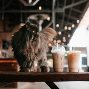 Eat Cold Foods For Day & I'll Give You Cool Nickname Quiz Frappuccino