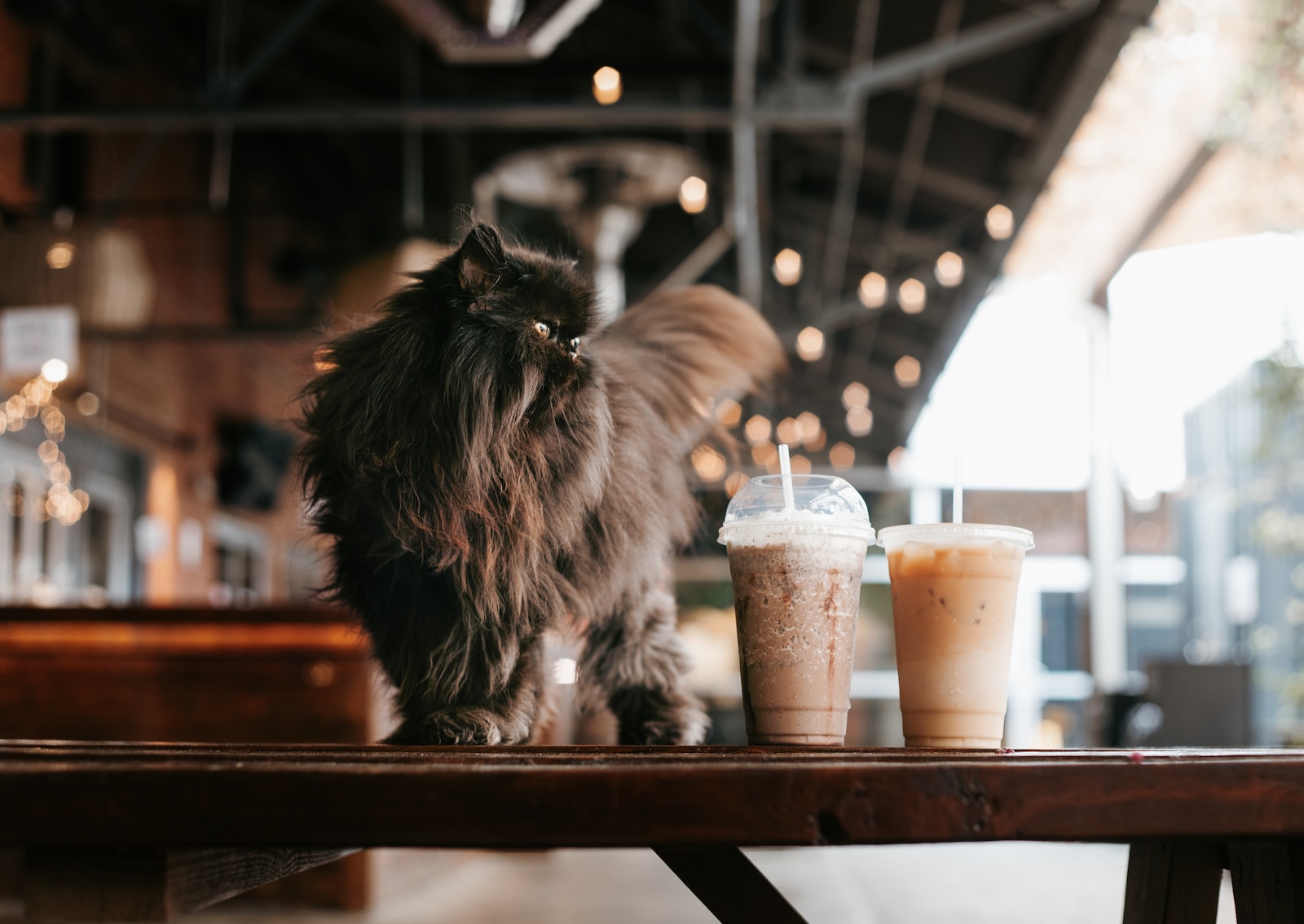 You got: Frappuccino! Eat Cookies Non-Stop 🍪 and We’ll Tell You Which ☕️ Coffee Best Matches Your Personality