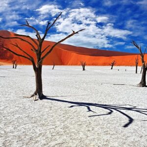Desert Trivia Quiz Namib Desert