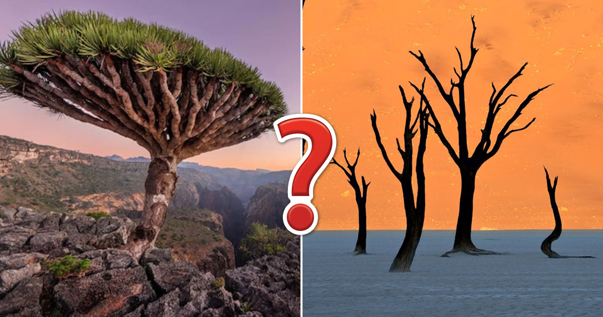 Match 24 Natural Attractions to Their Country - Geography Quiz