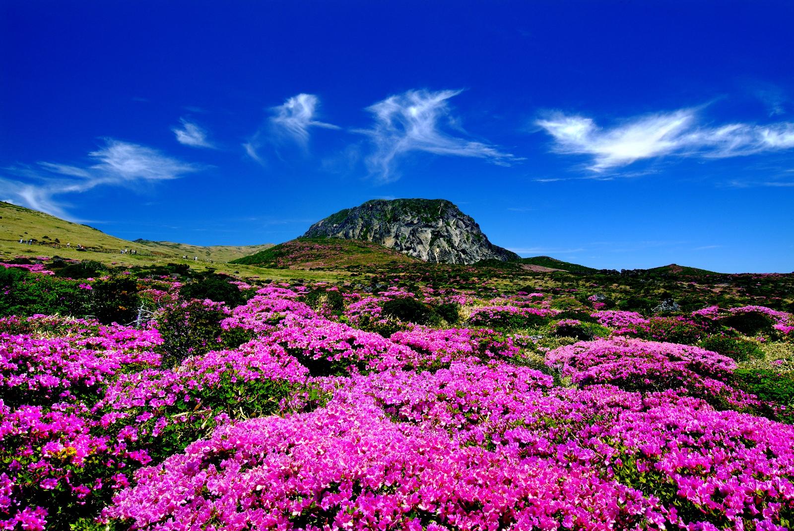 Natural Landmarks Quiz Jeju Island, South Korea