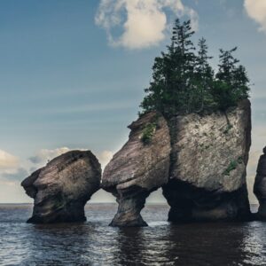 Curate A-Z Travel List To Know If You're Left/Right-Brained Quiz The Bay of Fundy, Canada