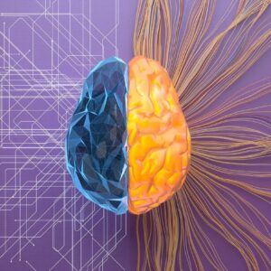 True Colors Personality Test Using a mix of logic and spontaneity