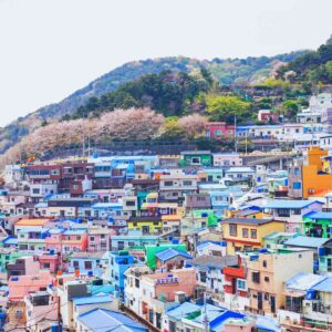 K In Geography Quiz Korea