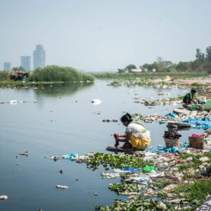 Yellow Trivia Quiz From contaminated water