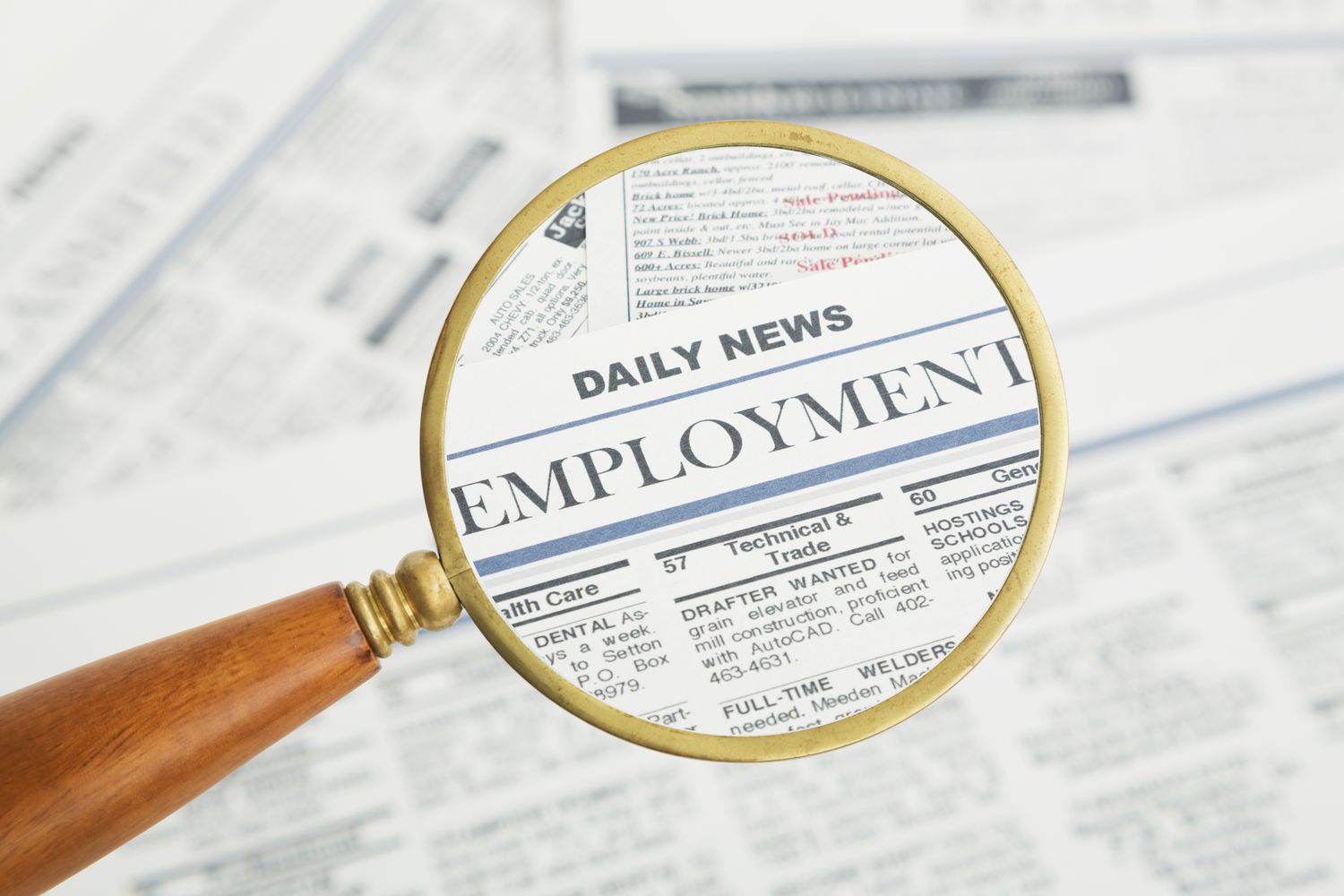 Are You A Hobbit, An Elf, A Dwarf, Or An Orc? Quiz Job listing