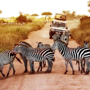 Are You a World Traveler? Test Your Knowledge by Matching These Majestic Natural Sites to Their Countries! Tanzania