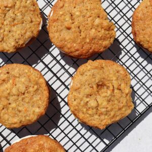 Winter A-Z Quiz Snickerdoodle