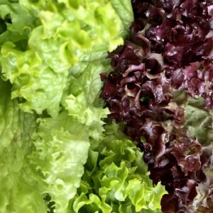 What Shade Of Green Are You? Quiz Lettuce