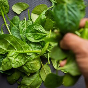 Eat Massive Meal To Know What Career You're Born For Quiz Spinach