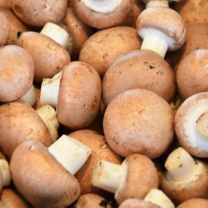 Fall Activities Quiz Forage for wild mushrooms