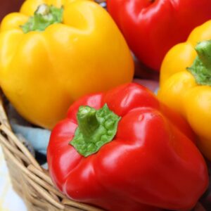 New Year's Eve Dinner Quiz Capsicums