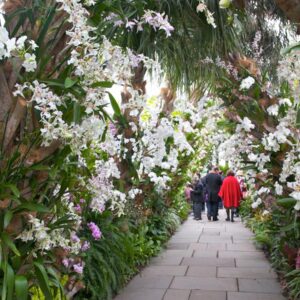 NYC Trip Planning Quiz 🗽! Can We Guess Your Age? New York Botanical Garden