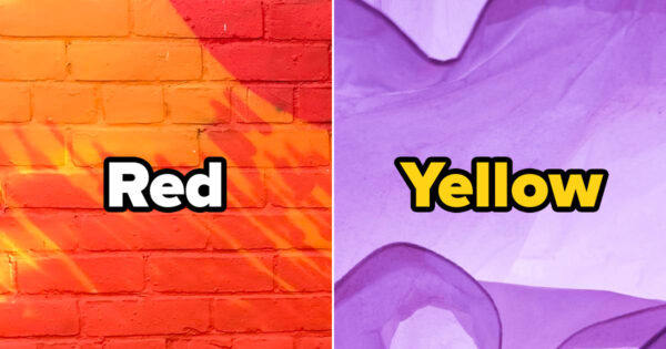 Only People With A Good Color Memory Can Pass This Popular Logo Quiz - Quiz