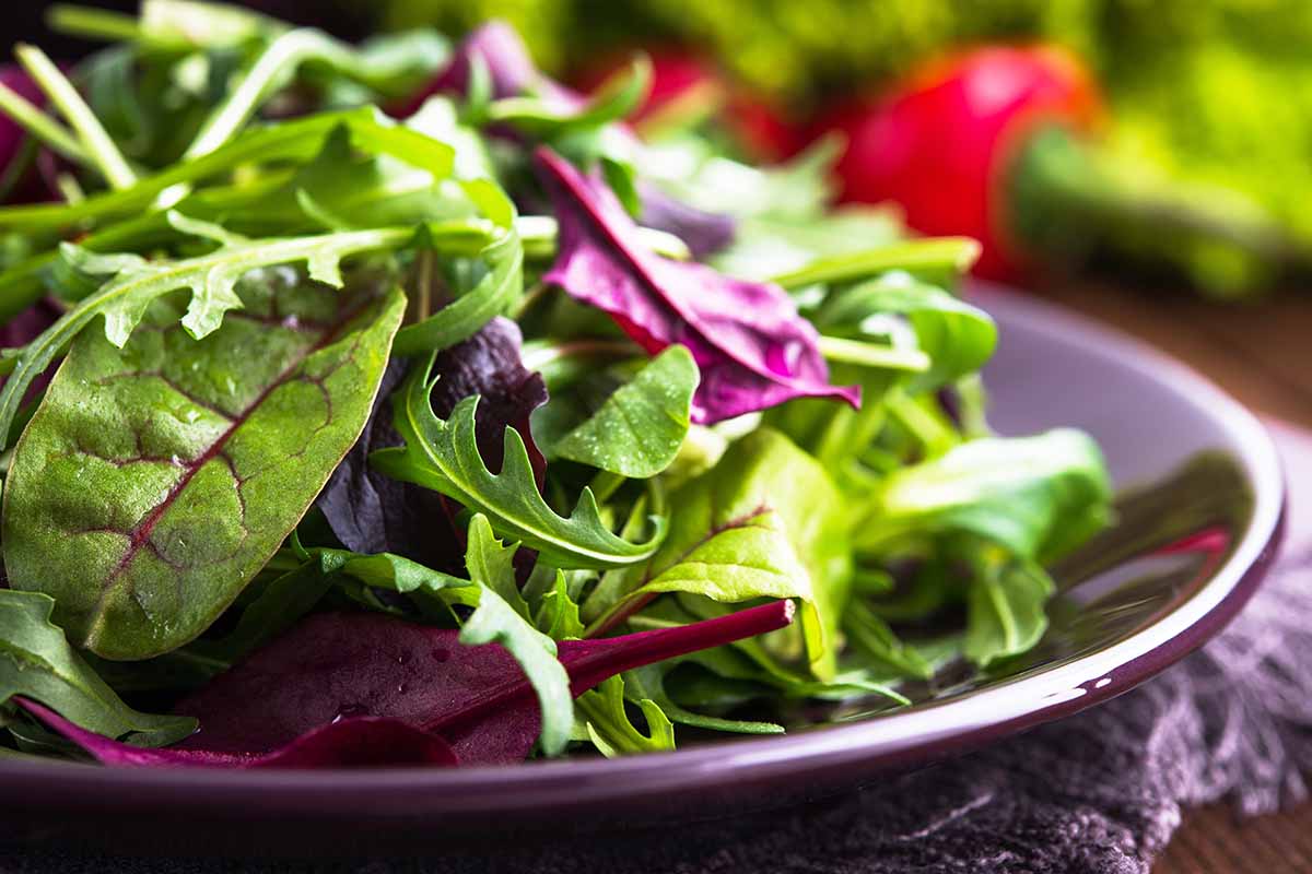 Eat Massive Meal to Know What Career You're Born For Quiz Vegetables veggies