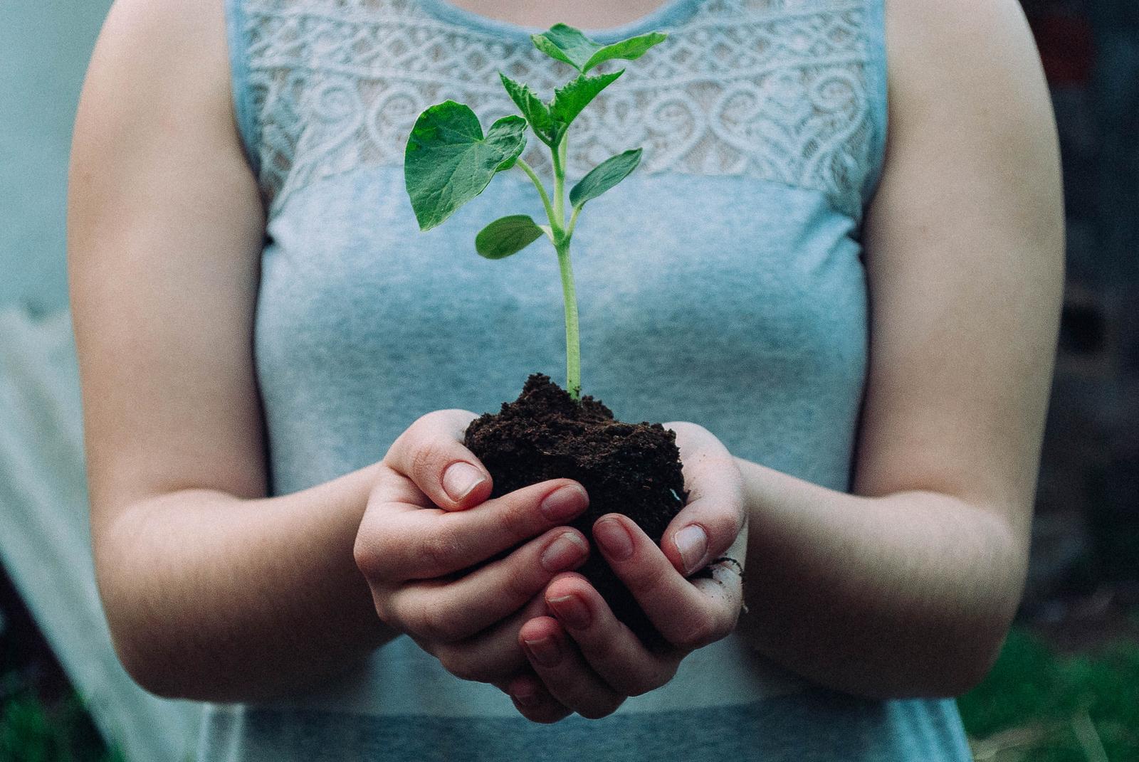 You got: Earth! What Element Are You – Fire 🔥, Water 💧, Earth 🌳, or Air 💨?