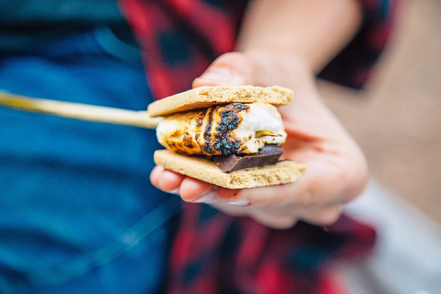 You got: S'mores! 🍰 Eat Desserts, Desserts, And More Desserts to Find Out What Summer Food You Embody 😎