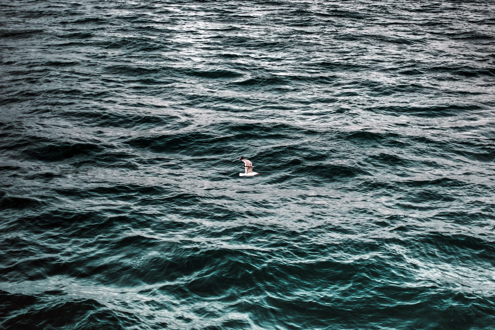 Jupiter Quiz Ocean