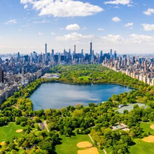 Which Apple Metaphor Are You? Quiz New York