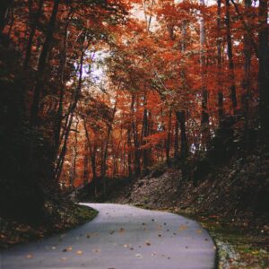 Am I A Morning Or Night Person? Quiz Autumn