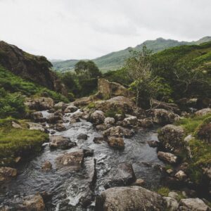 This Calming Quiz Will Tell You What You Need To Hear RN Stream
