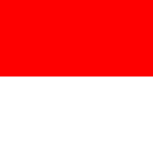 Only 1% Can Master This Impossible Flag Quiz 