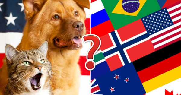 Circle-less Flags Quiz - By GeoEarthling