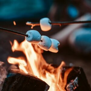 Which Summer Treat Are You? Quiz Toasting marshmallows