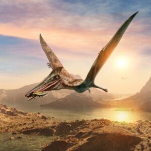 Embark on an 🦖 Epic Prehistoric Quiz Adventure 🛖 and Uncover Your Primitive Alter Ego A pterodactyl