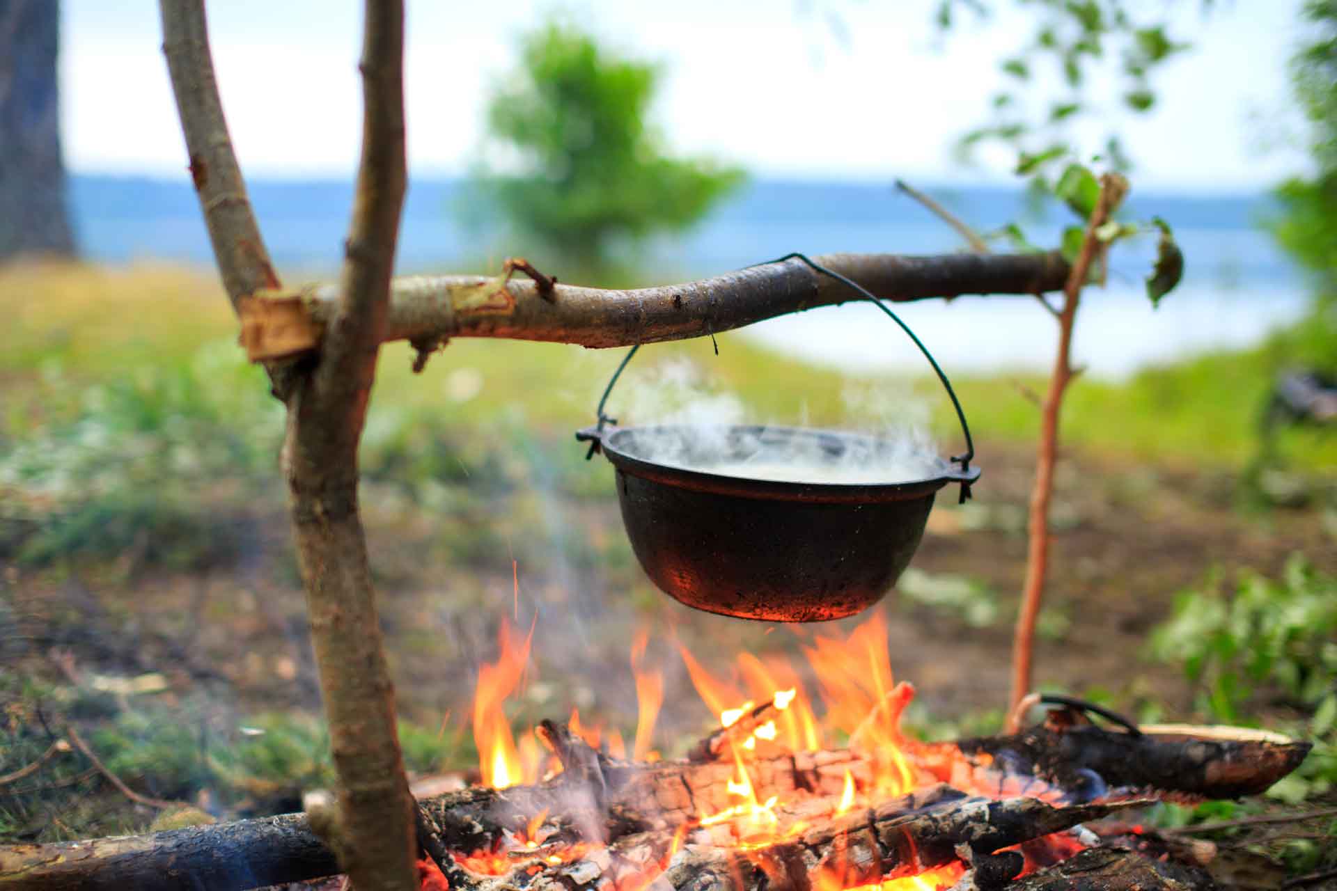 Embark on Epic Prehistoric Quiz Adventure & Uncover Your Primitive Alter Ego outdoor cooking
