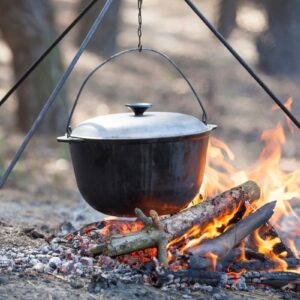 Embark On Epic Prehistoric Quiz Adventure & Uncover Your Primitive Alter Ego Using primitive techniques like roasting and boiling