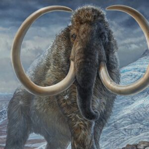 Embark on an 🦖 Epic Prehistoric Quiz Adventure 🛖 and Uncover Your Primitive Alter Ego A majestic and friendly woolly mammoth
